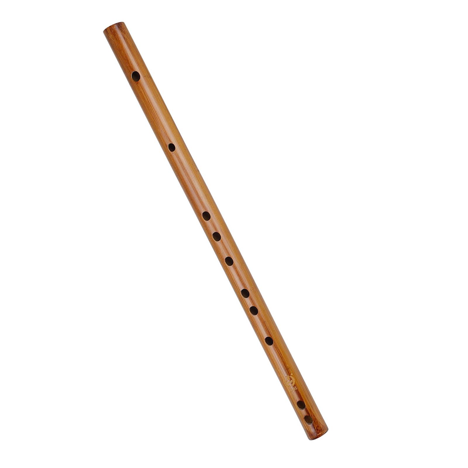 ของขวัญวันเกิดที่ไม่ซ้ำกัน,อิน - Musical Instrument Indian บทวิจารณ์และราคา